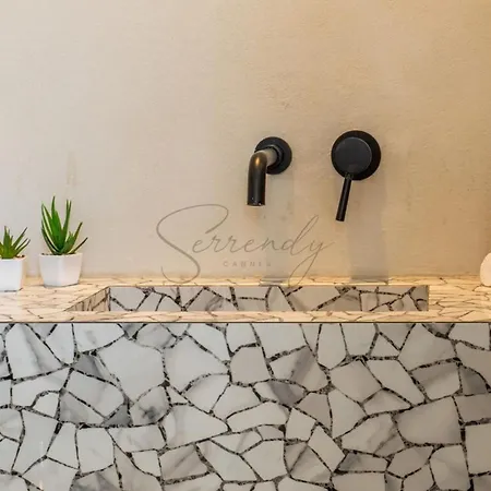 2-br Rooftop In Palm 2-min Walk To Beaches Cannes